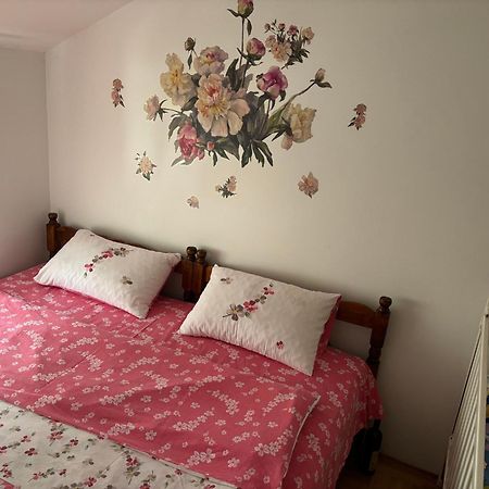 Elena Apartment Plužine Dış mekan fotoğraf