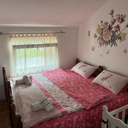 Elena Apartment Plužine Dış mekan fotoğraf