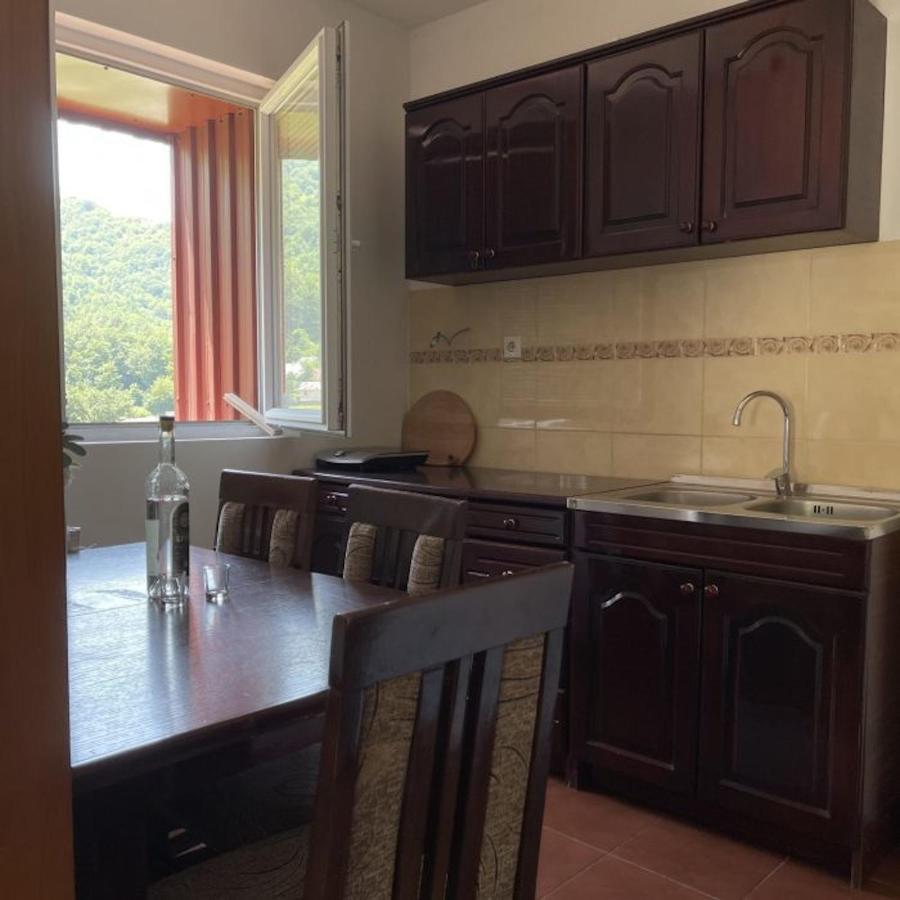 Elena Apartment Plužine Dış mekan fotoğraf