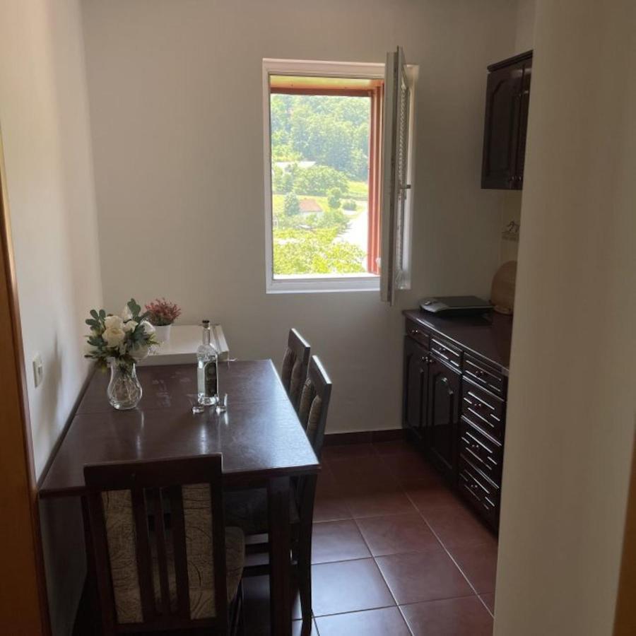 Elena Apartment Plužine Dış mekan fotoğraf