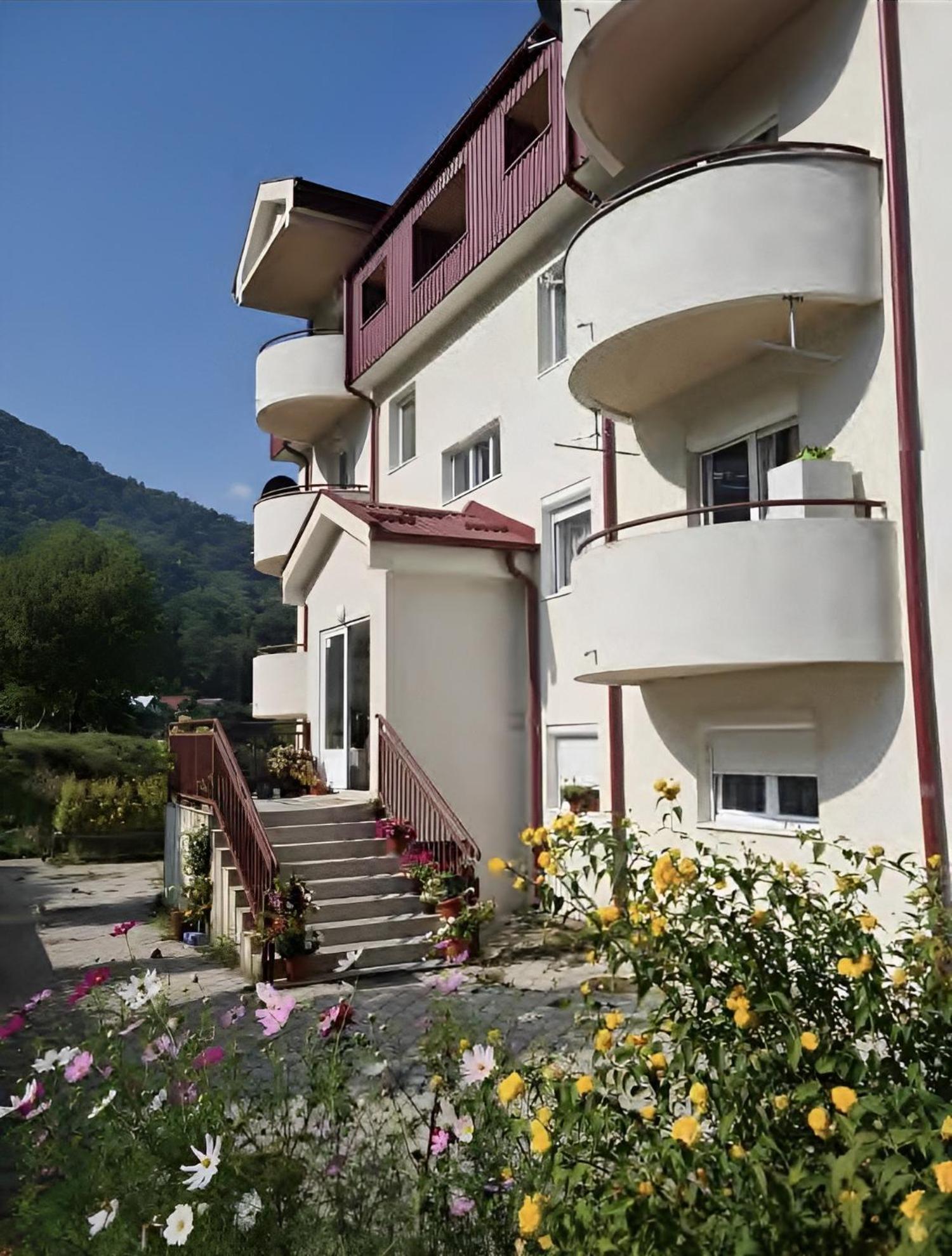 Elena Apartment Plužine Dış mekan fotoğraf