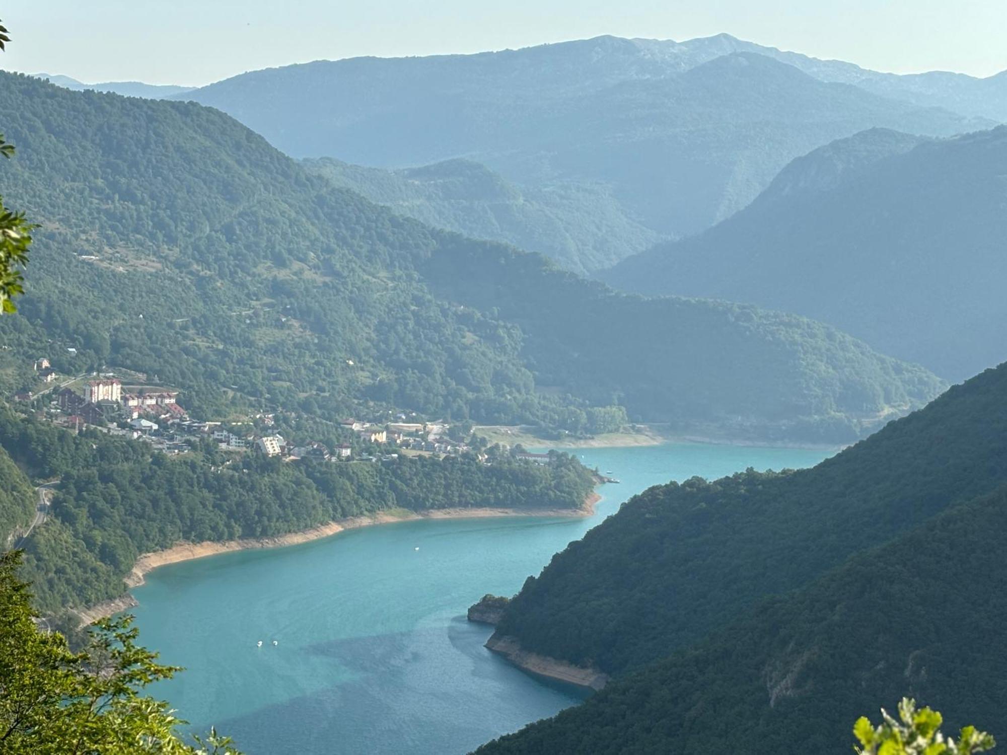Elena Apartment Plužine Dış mekan fotoğraf