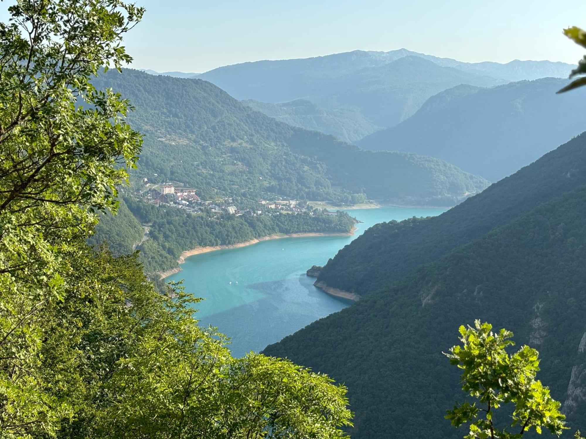 Elena Apartment Plužine Dış mekan fotoğraf